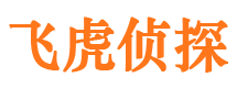 江夏市调查取证